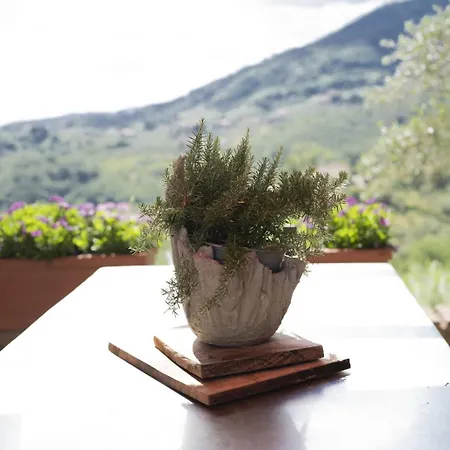 Farm stay Societa Agricola Scerba Srl Montemagno (Pistoia)